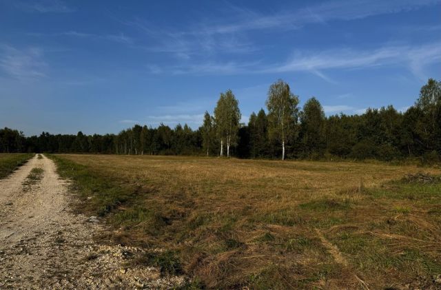 Działka budowlana Wincentów Zręby. Zdjęcie 1