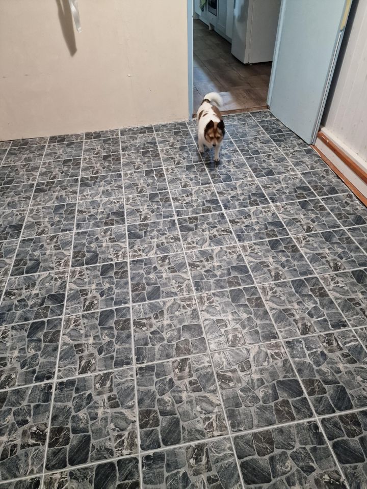 dom wolnostojący, 7 pokoi Bogatynia, ul. Marii Skłodowskiej-Curie. Zdjęcie 11