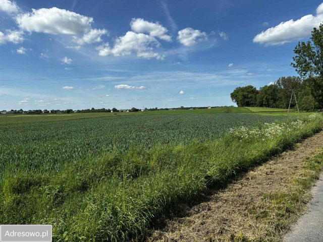 Działka rolno-budowlana Leśce. Zdjęcie 1