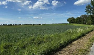 Działka rolno-budowlana Leśce