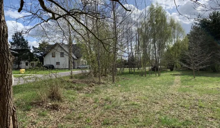 Działka budowlana Wielgolas Brzeziński, ul. Władysława Jagiełły