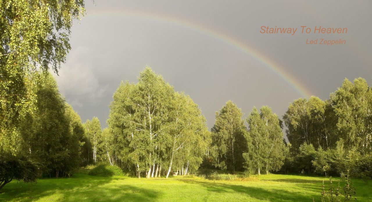 Działka budowlana Starzykowo. Zdjęcie 1