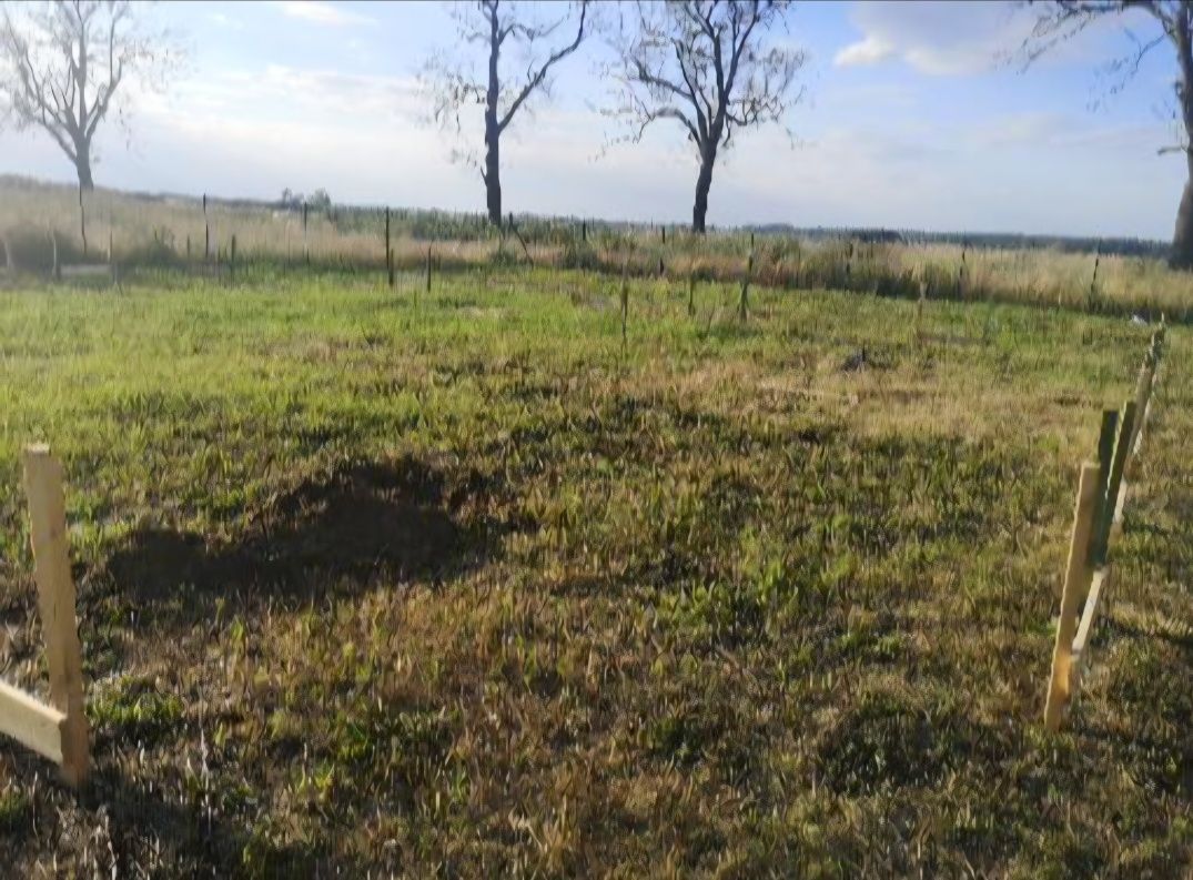 Działka budowlana Białężyn. Zdjęcie 5
