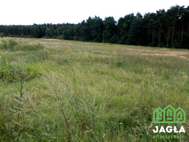 Działka rolna Bydgoszcz, ul. Bydgoskiego Batalionu Obrony Narodowej. Zdjęcie 2