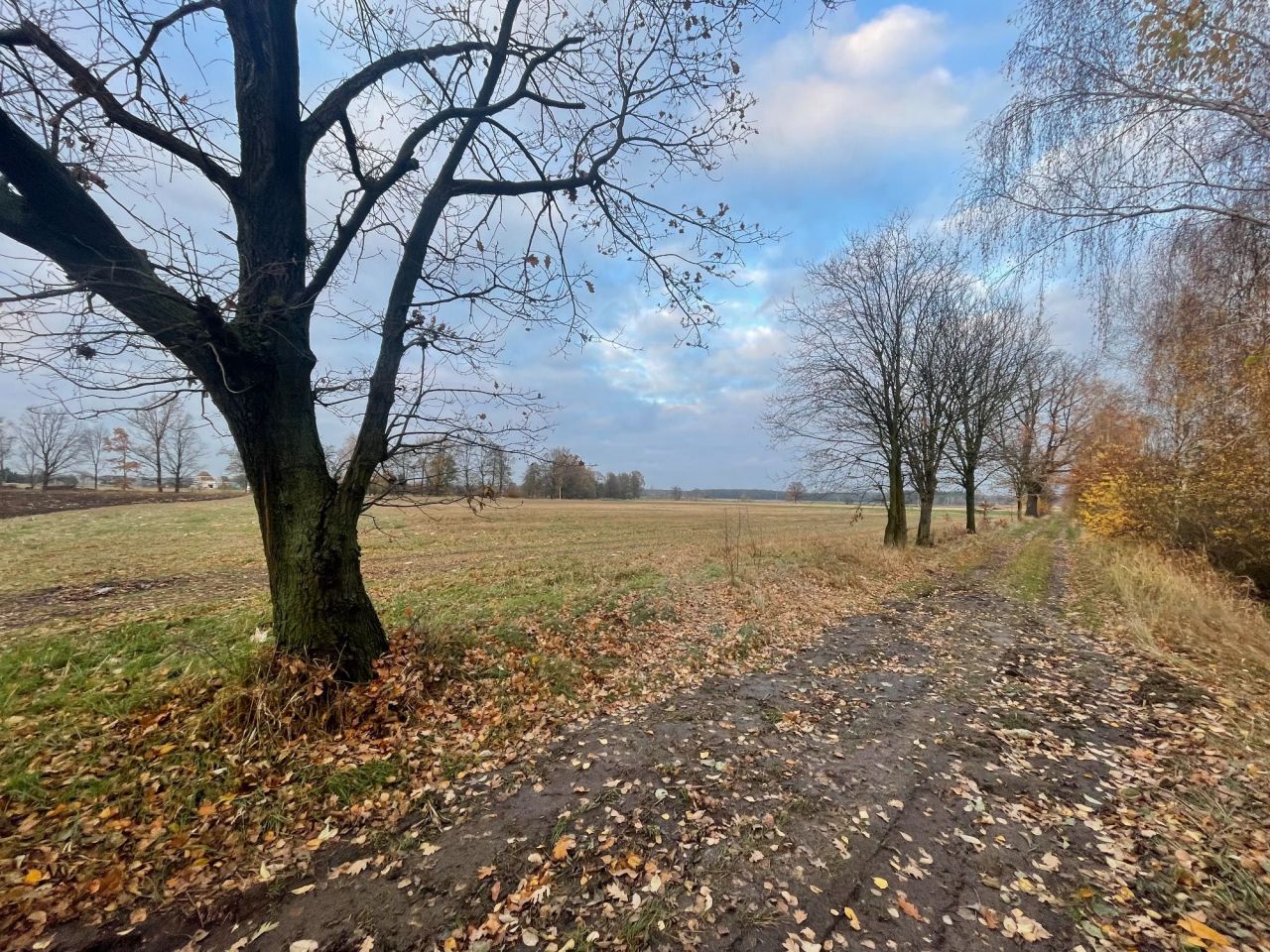 Działka budowlana Świeca. Zdjęcie 4