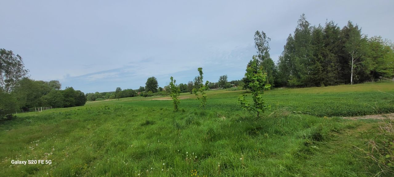 Działka rolno-budowlana Janówka. Zdjęcie 3