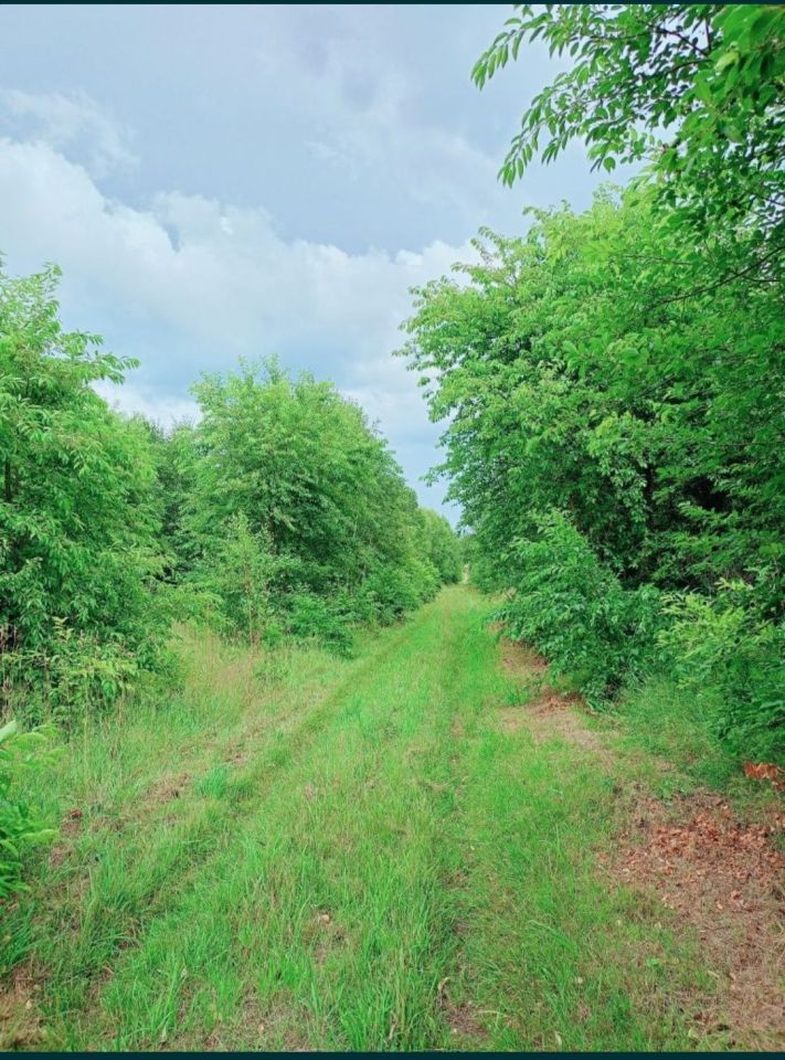 Działka budowlana Wyszebórz. Zdjęcie 4