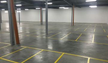 Hala/magazyn Zielona Góra Przylep