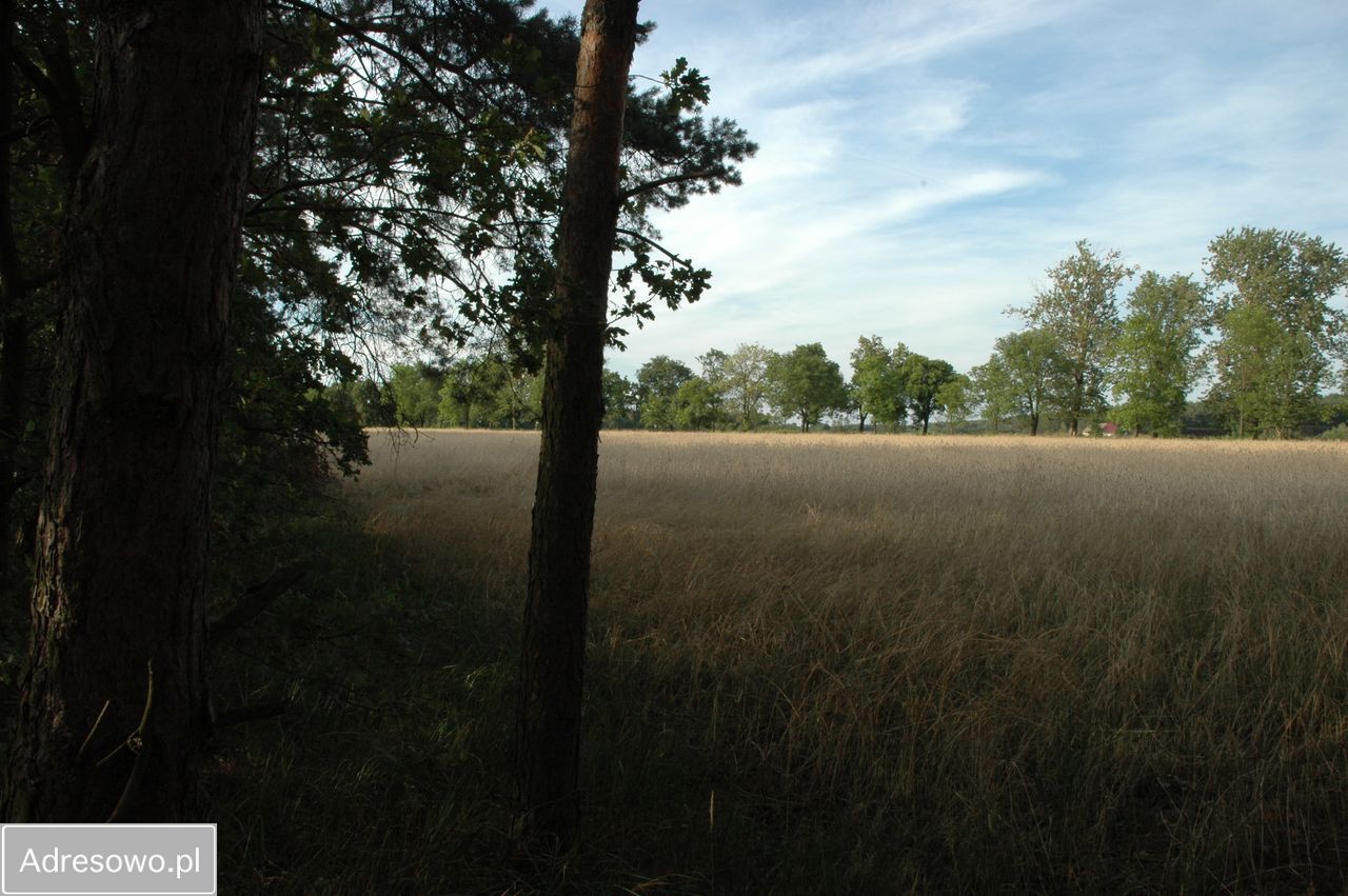 Działka Bobrownickie Pole. Zdjęcie 7