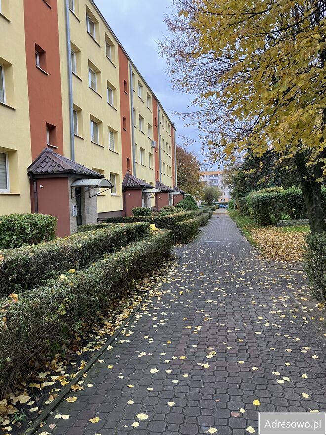 Mieszkanie 2-pokojowe Łomża, ul. Władysława Stanisława Reymonta