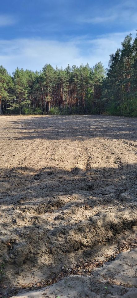 Działka rolno-budowlana Zygmuntowo. Zdjęcie 7