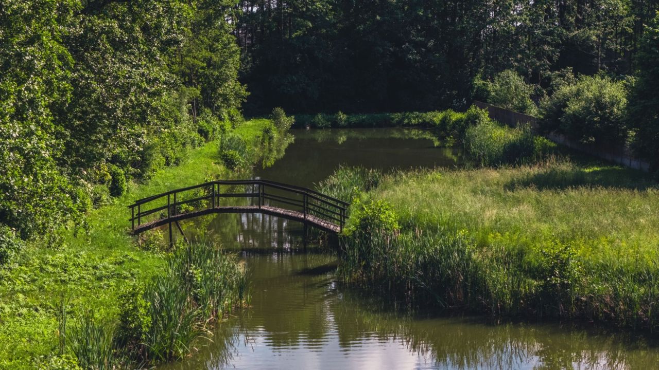 Działka rekreacyjna Żarnówka. Zdjęcie 3