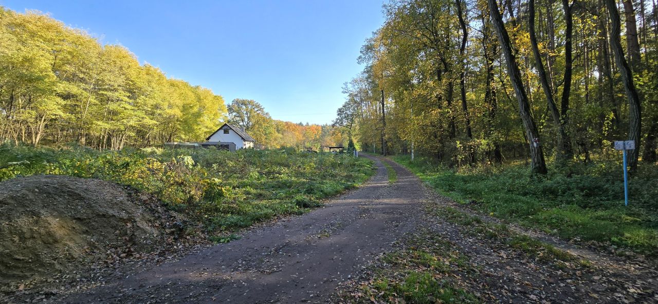 Działka budowlana Nowy Świat, ul. Rubinowa. Zdjęcie 1