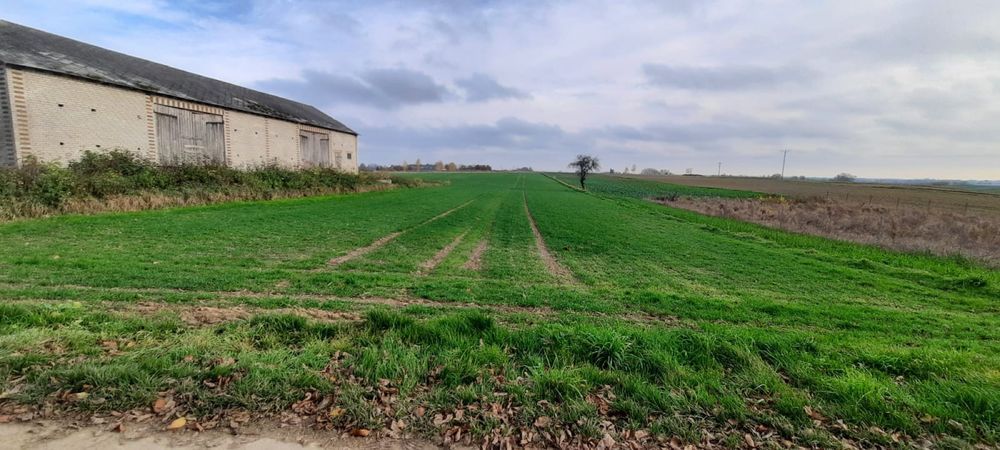 Działka budowlana Bogucin. Zdjęcie 4