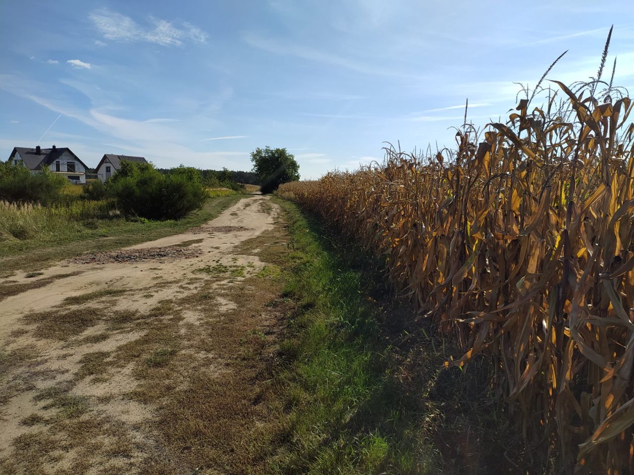 Działka inwestycyjna Wojnowice, ul. Akacjowa. Zdjęcie 24