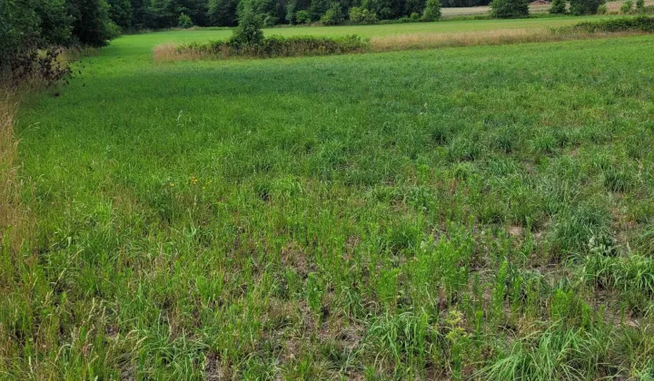 Działka siedliskowa Drągów Zakrzów