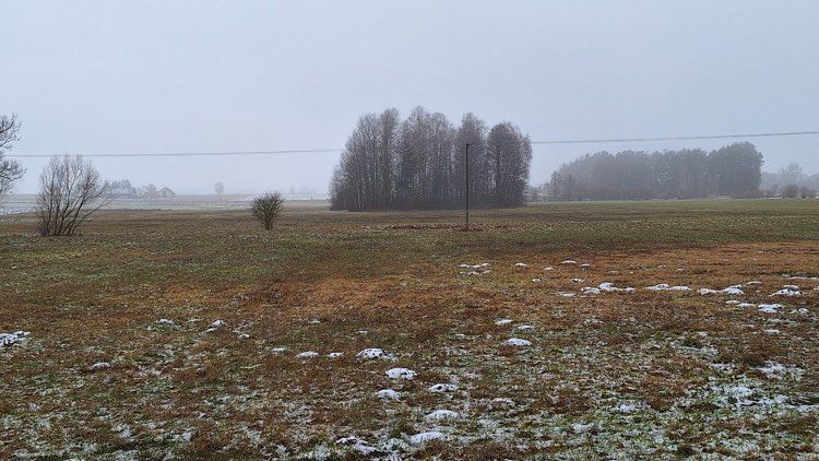 Działka rolno-budowlana Dobrzyniówka. Zdjęcie 3