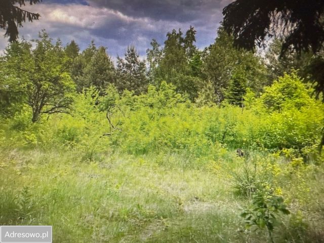 Działka budowlana Kamionka, ul. Brzozowa. Zdjęcie 1