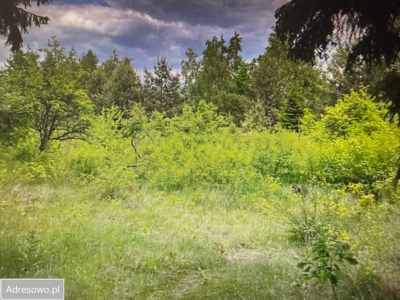 Działka budowlana Kamionka, ul. Brzozowa. Zdjęcie 1