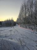 Działka leśna Szafarnia. Zdjęcie 3