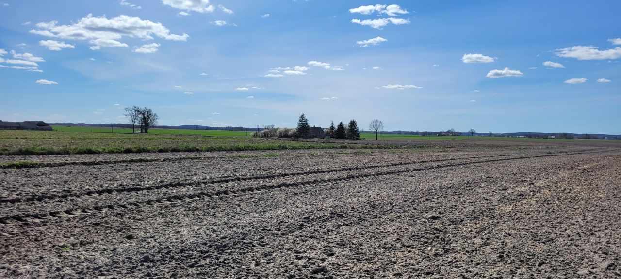 Działka rolno-budowlana Sępólno Krajeńskie, ul. Pawła Kalinowskiego. Zdjęcie 4