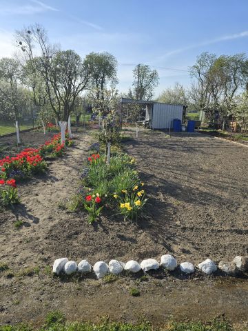 Działka rekreacyjna Gola. Zdjęcie 1