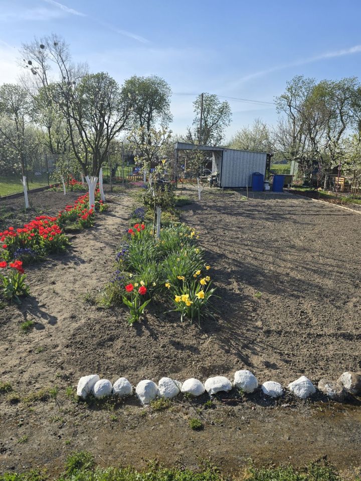 Działka rekreacyjna Gola