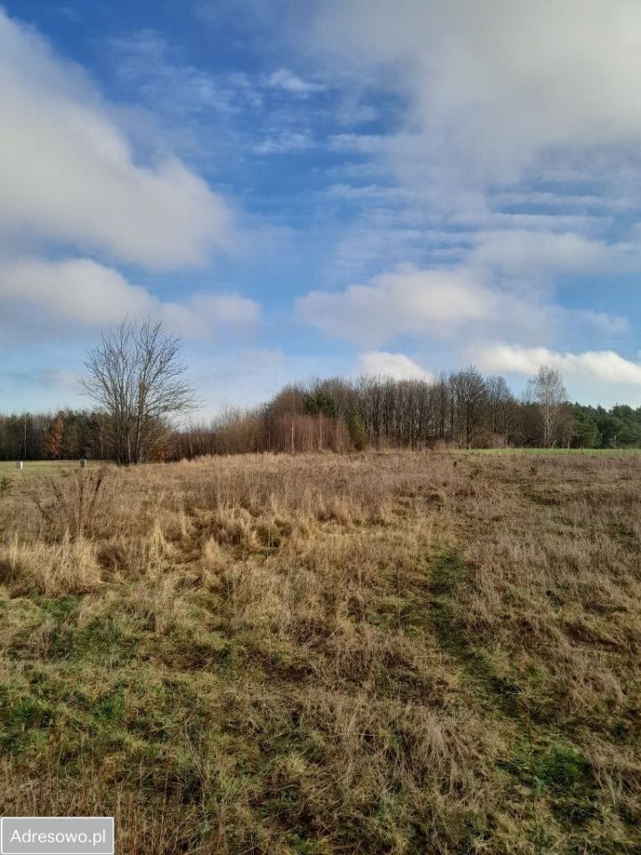 Działka budowlana Barniewice. Zdjęcie 4