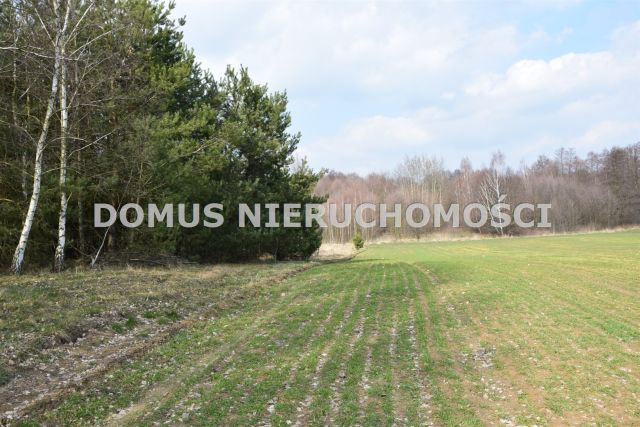 gospodarstwo, 3 pokoje Frydrychów. Zdjęcie 6