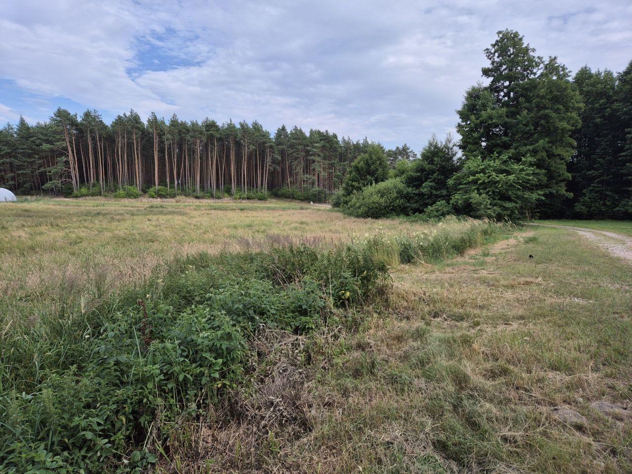 Działka budowlana Piotrowice, ul. Wrzosowa. Zdjęcie 3