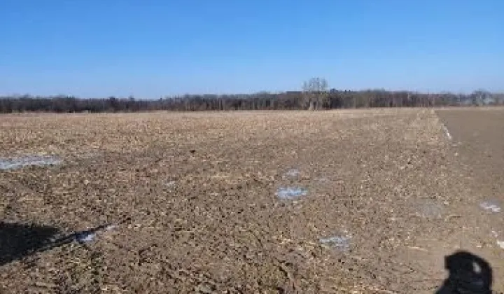 Działka rolna Ulejno