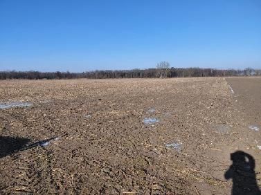 Działka rolna Ulejno. Zdjęcie 1