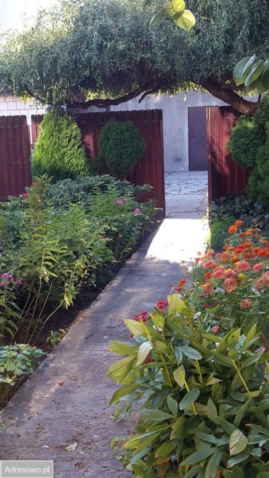 kamienica Warka Centrum, pl. Stefana Czarnieckiego. Zdjęcie 14