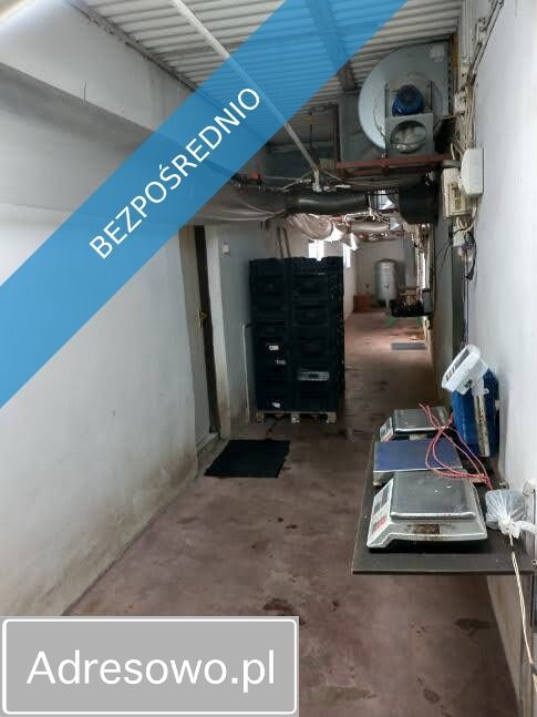 Lokal Stare Boryszewo. Zdjęcie 8