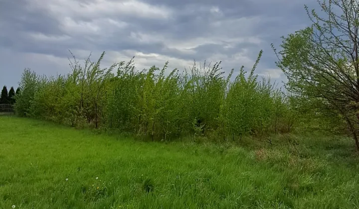 Działka rolna Chełmce