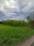Działka rolna Chełmce