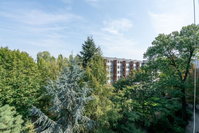 Mieszkanie 2-pokojowe Wrocław Stare Miasto, ul. Wysoka. Zdjęcie 3