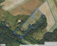 Działka rolna Podzamek Golubski