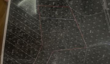 Działka leśna Majdan Golczański Załomy