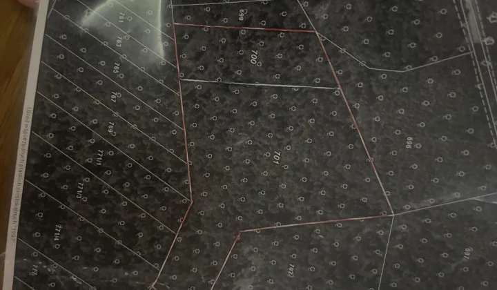 Działka leśna Majdan Golczański Załomy