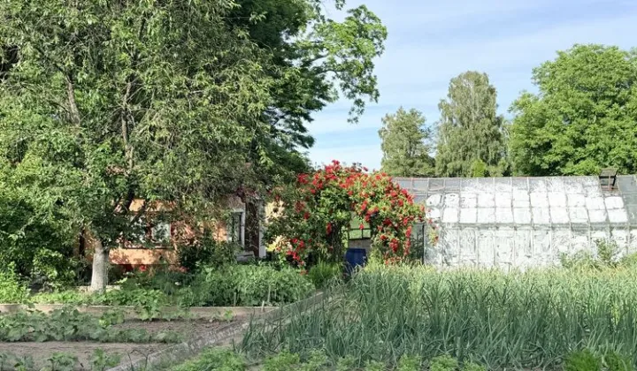 Działka rod Sławno, ul. Dębowa