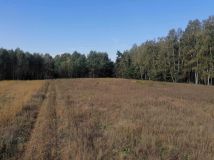 Działka rolno-budowlana Józefowo. Zdjęcie 1