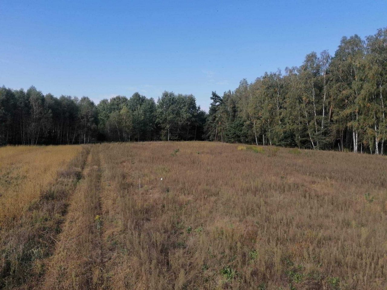 Działka rolno-budowlana Józefowo. Zdjęcie 2