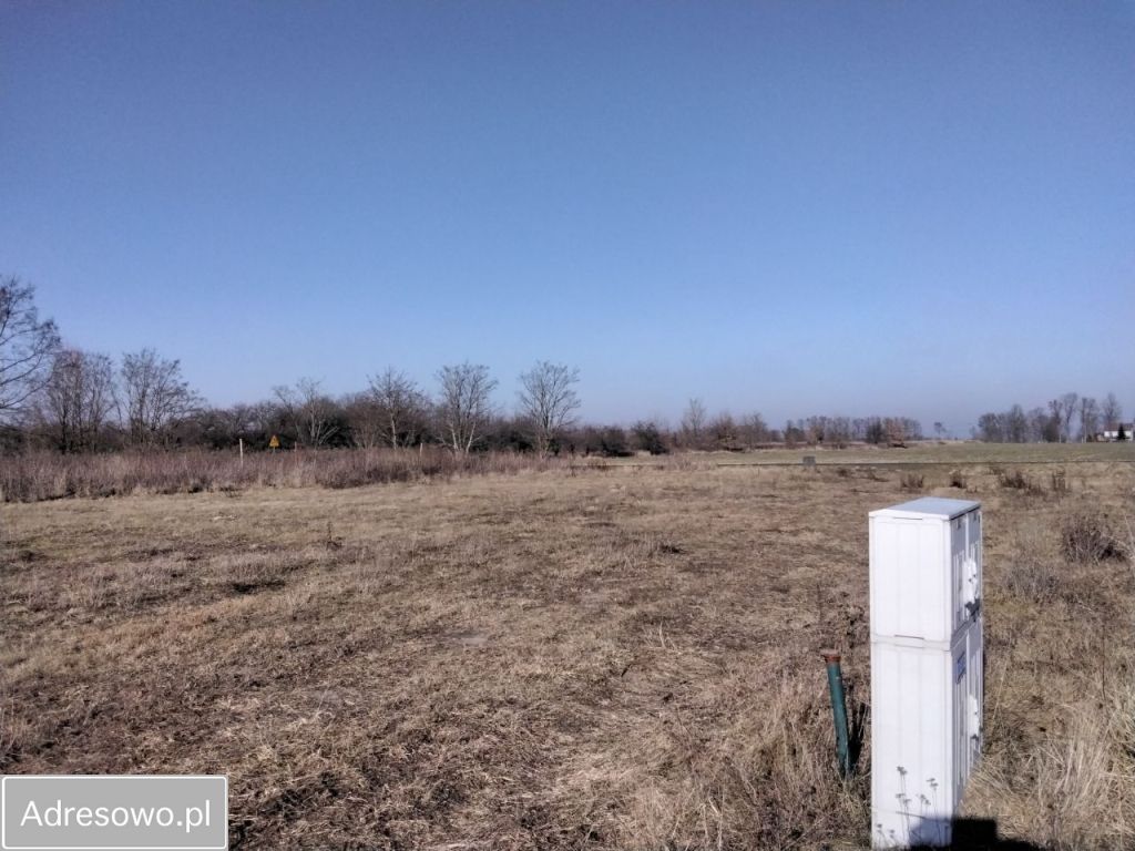 Działka rolno-budowlana Podkampinos. Zdjęcie 2