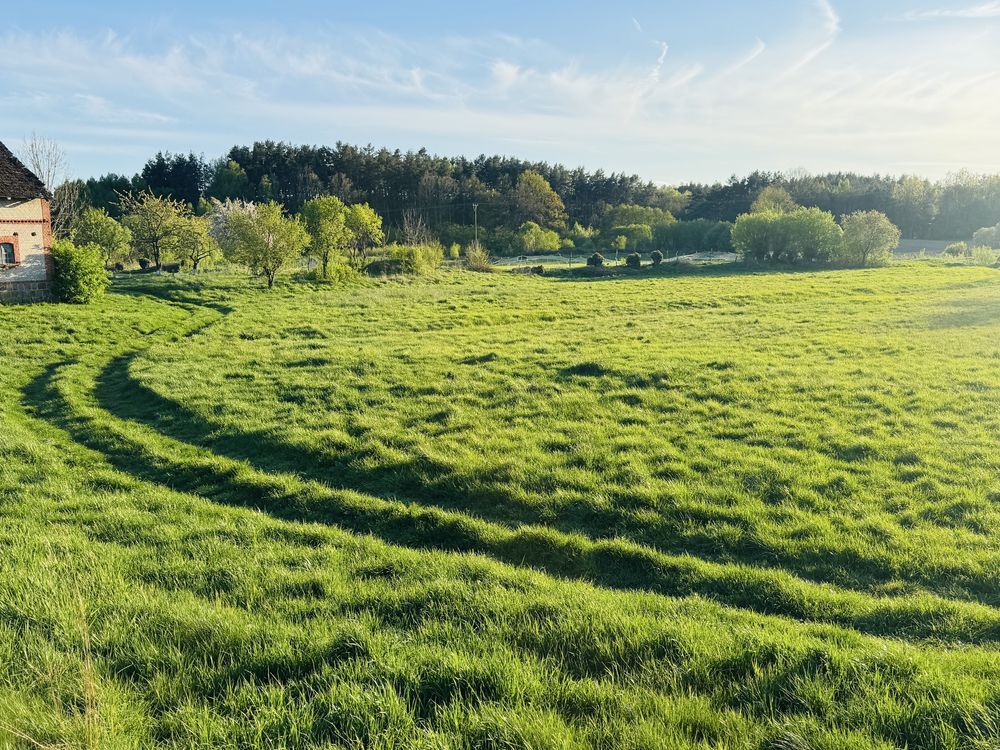 Działka rolno-budowlana Radomyśl. Zdjęcie 5