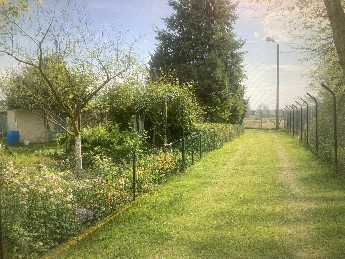 Działka rod Leszno. Zdjęcie 3