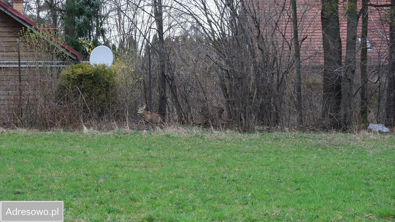 Działka budowlana Ustroń. Zdjęcie 5
