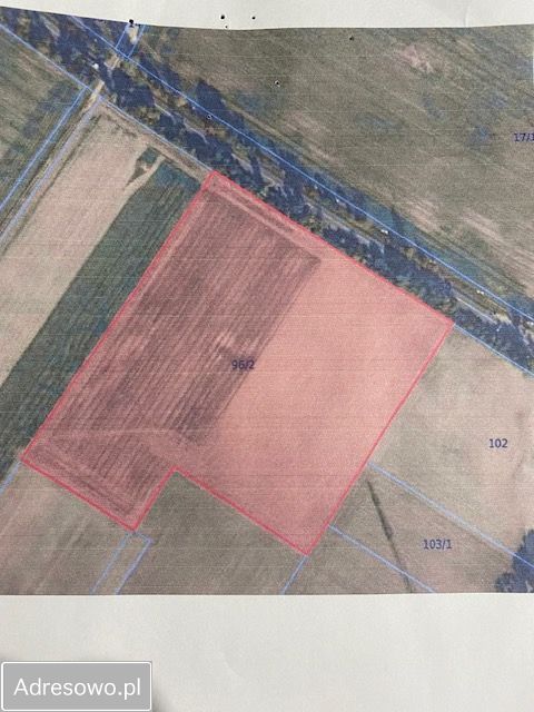 Działka rolna Piastoszyn. Zdjęcie 2