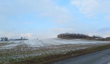 Działka inwestycyjna Kryniczno