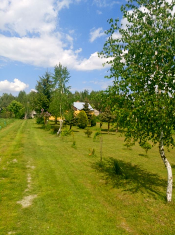 dom wolnostojący, 4 pokoje Stara Wieś-Kolonia. Zdjęcie 2